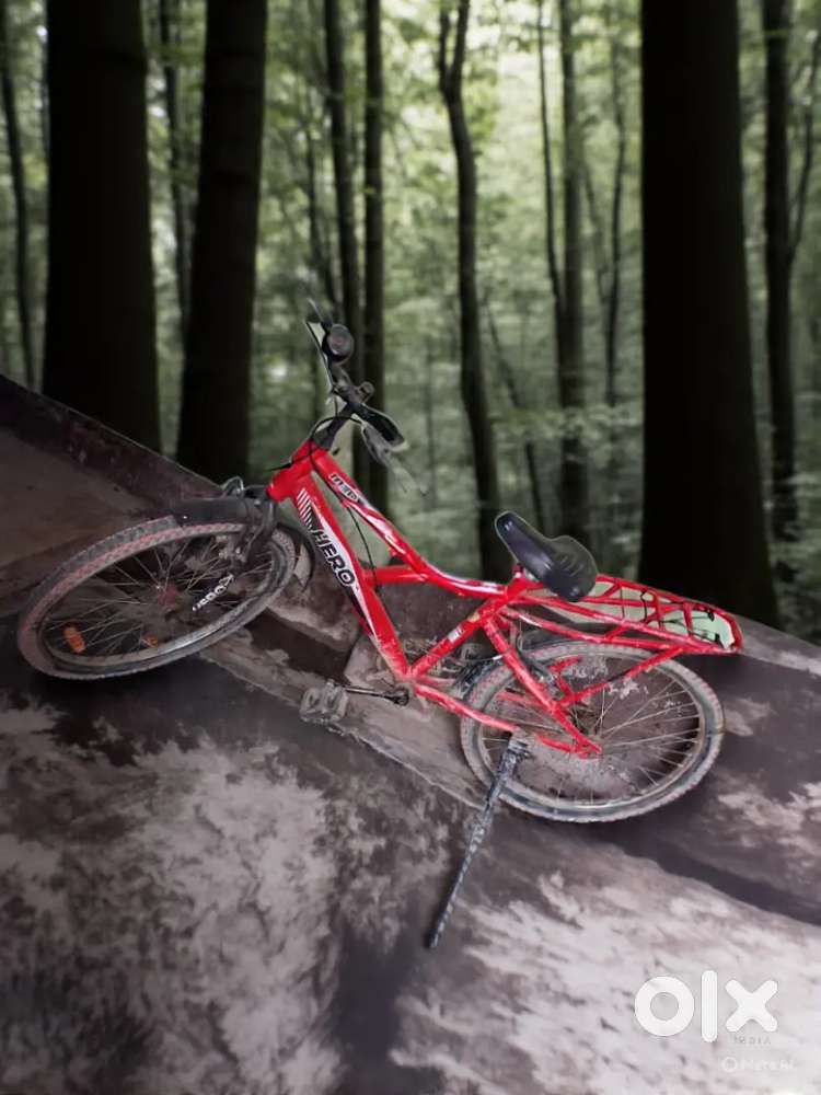 Ranger cycle