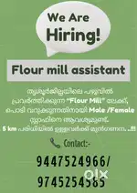 Hiring Flourmill assostant/ General helper