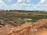 Plot for sell