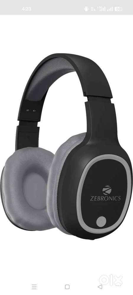 Zebronics headphones black colour