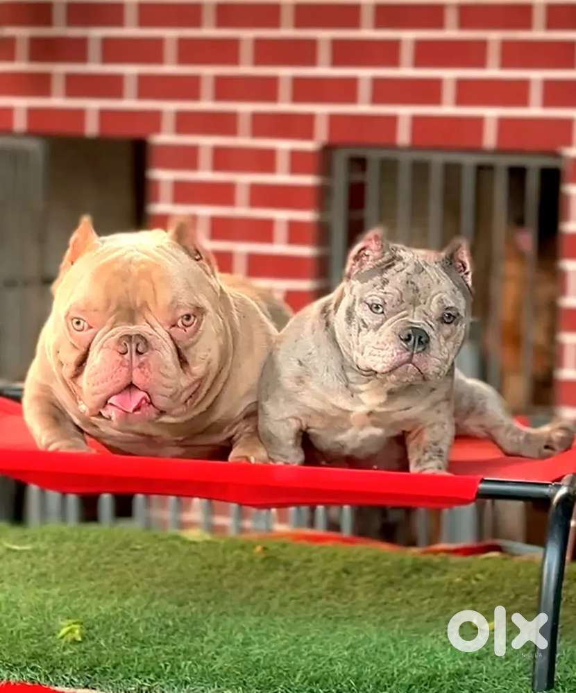 Need a driver who know to drive a mahindra pick  in a factory