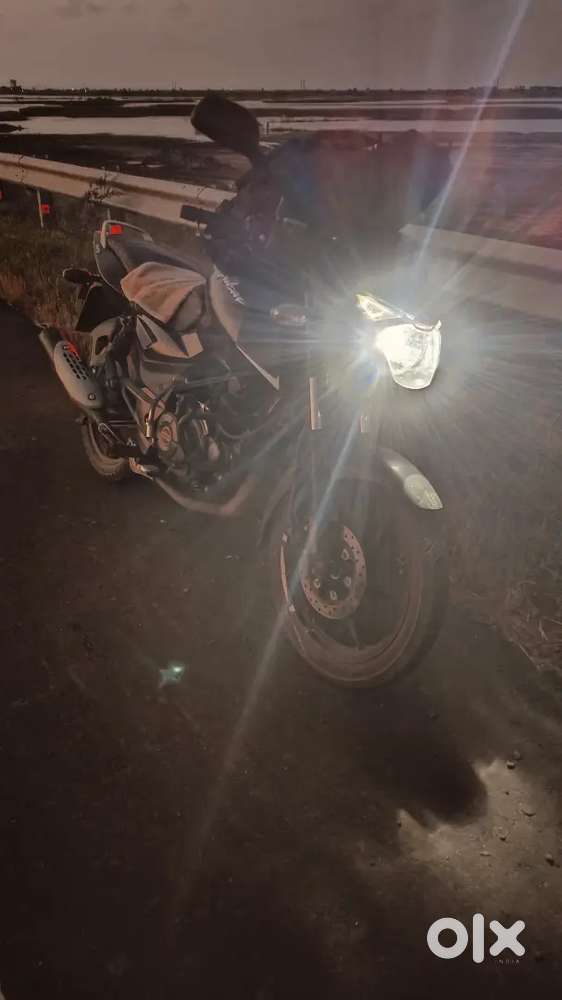Bajaj Pulsar 125 (2021 Model) – 1st Owner  Excellent Condition