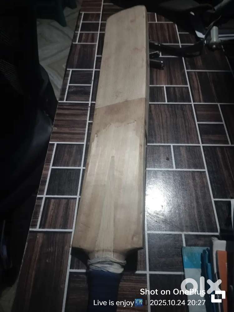 Cricket. Primium kashmir willow bat