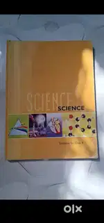Class 10 ncrt books set