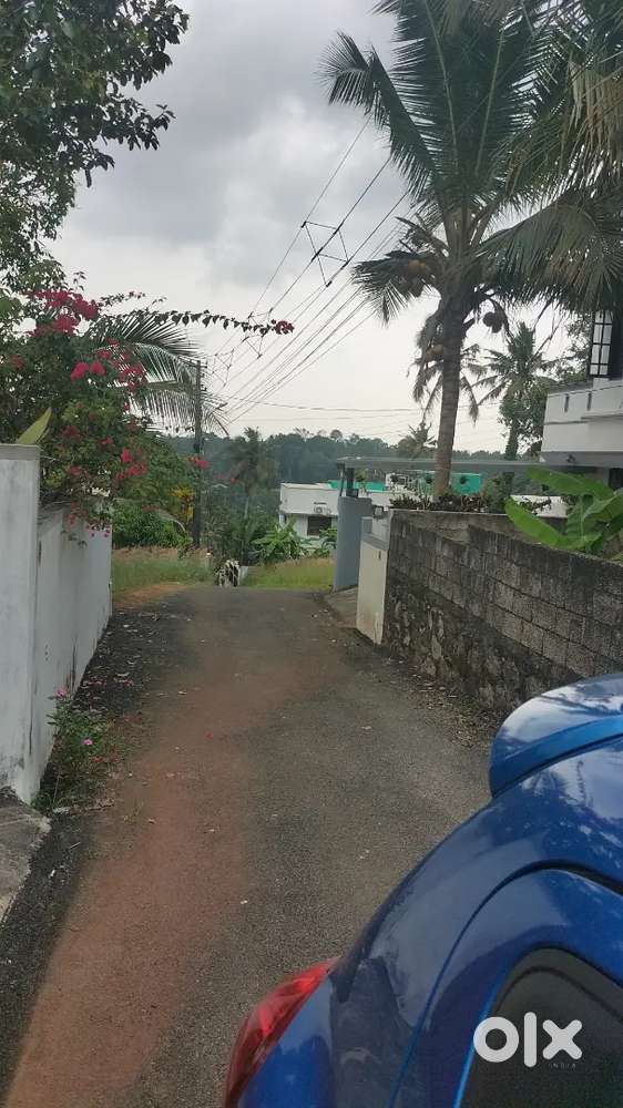 5 cent 6  or 7 cent plot sale pongumood residents area6