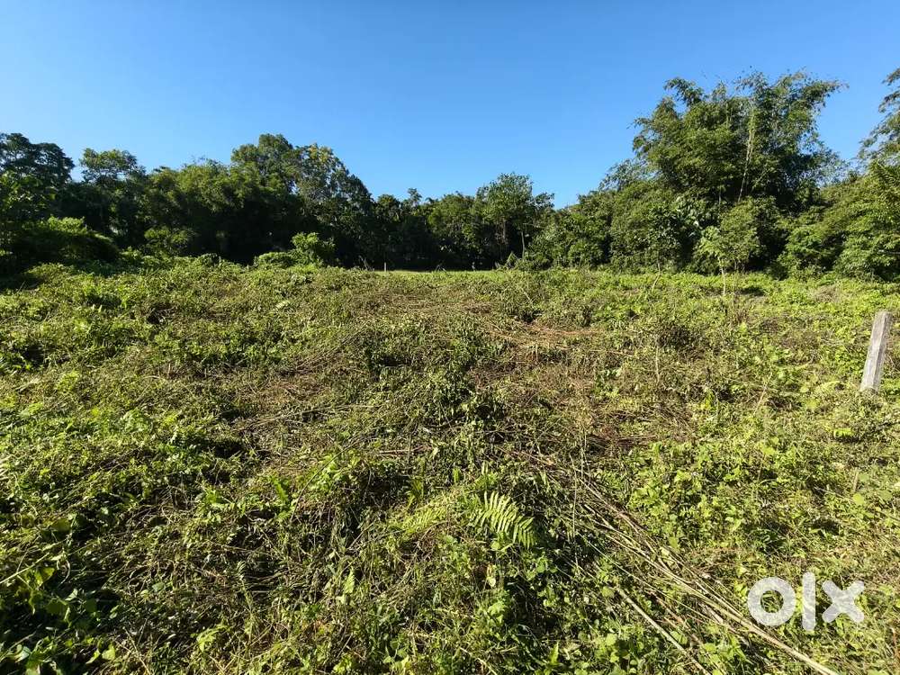Land for sale at gelapukhri Tinsukia Assam