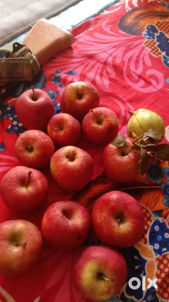 ଏହା ଫାର୍ମ ହାଉସ୍ ପାଇଁ ,ପ୍ଲଟ ୪ ଏକର ଗୋଟେ ପ୍ଲଟ,୩ ଏକର ଜାଗାରେ ପୋଖରି, ଘାରବାରି