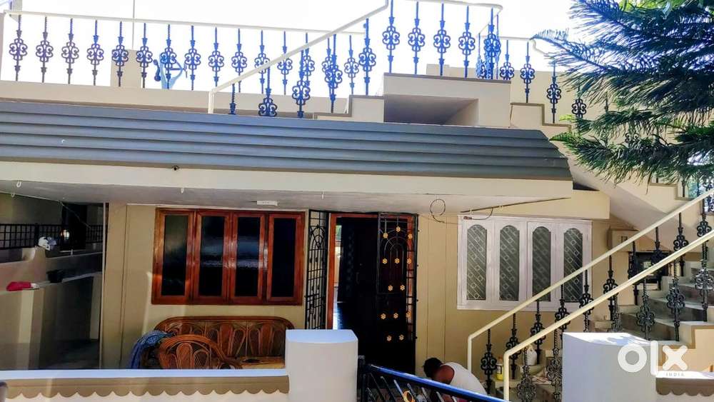 Individual house for rent