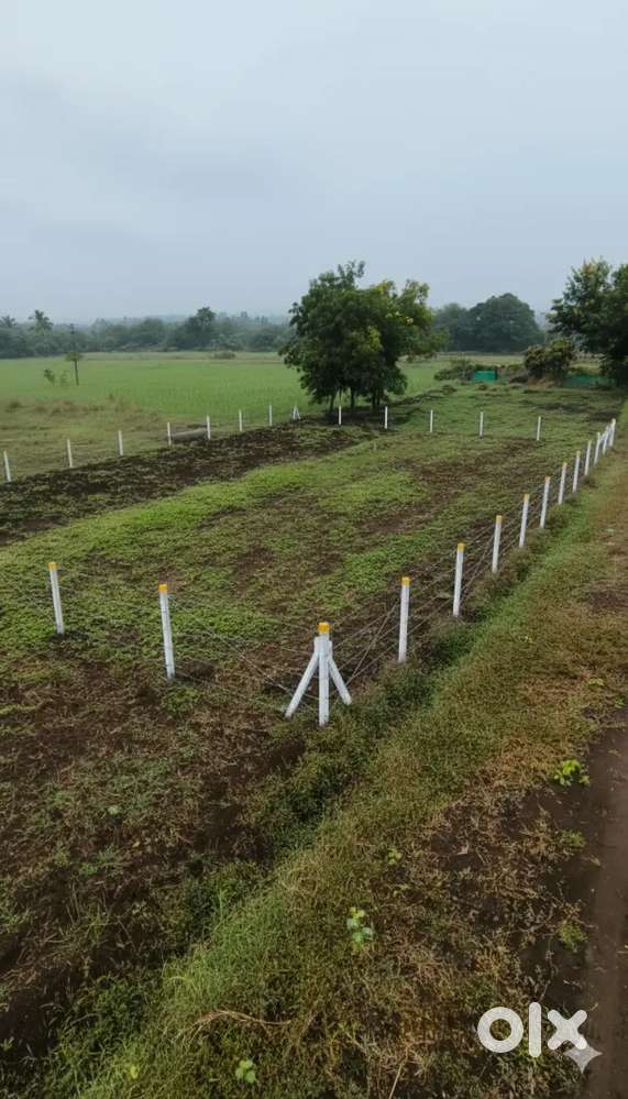 Plot for Sale in Mane Nager, Rasbihari Meri Link Road