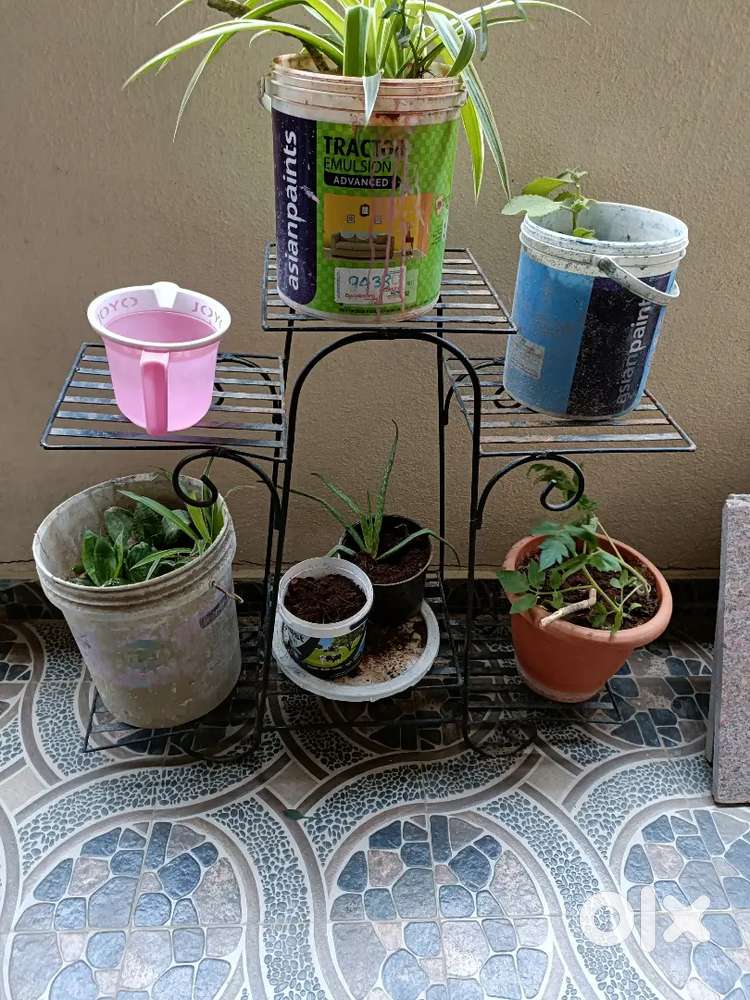 Plant stand