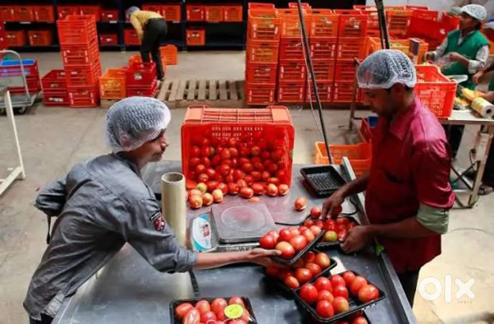 Wanted male/female partime/ fulltime packing staffs [