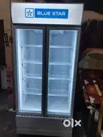 Display frez 6 month old