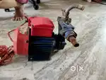 Crompton 1horse power water pump
