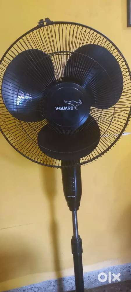 Pedestal fan