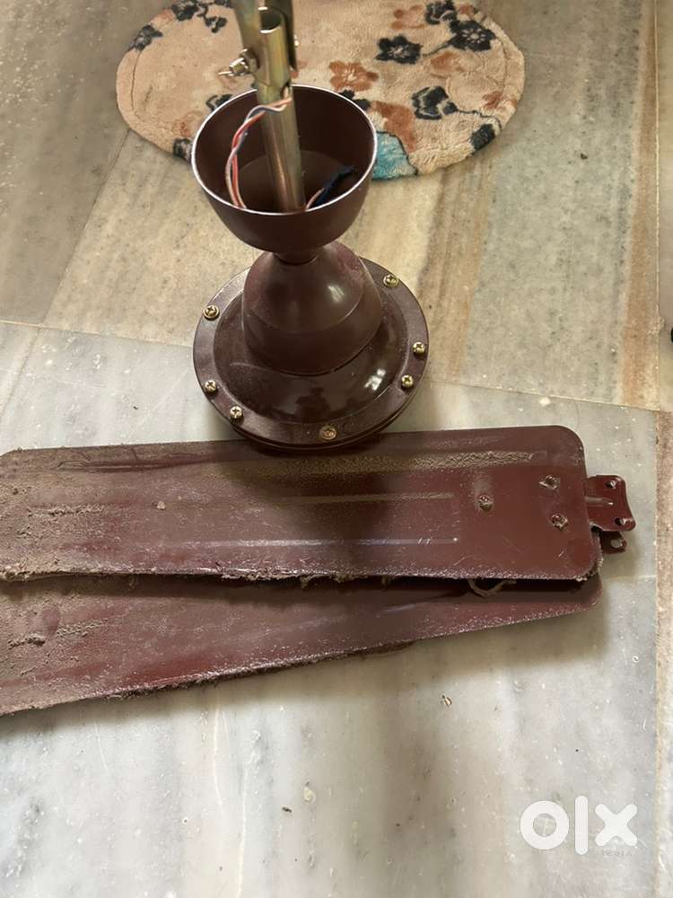Fan for sale