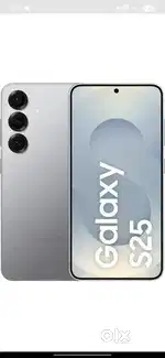 S25 12/256gb varient