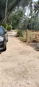 100 cent,50cent,,land Near Techno park phase 4 Manglapuram Trivandrum