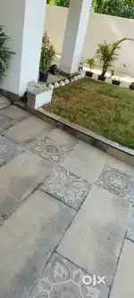 Plot of 100 yards in Chattarpur Extension