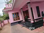 Near court Jn Muttom Thodupuzha