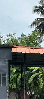Car Washing Staff