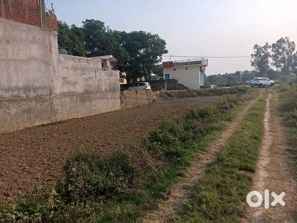 East face plot he main road se