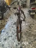 4year old cycle