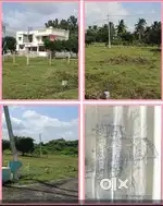 Your dreem for site