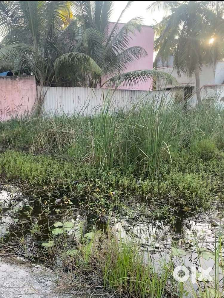 Athipattu land sale