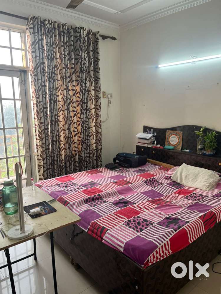 1 room in a 3 bhk furnished flat for single person in sector 1