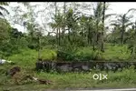 28 cent land sale near vip garden Thamppathukonam
