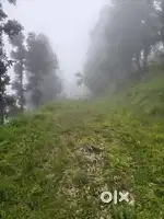 5 Nali Land for Sale  Dunagiri Kukuchina  Near Babaji Cave