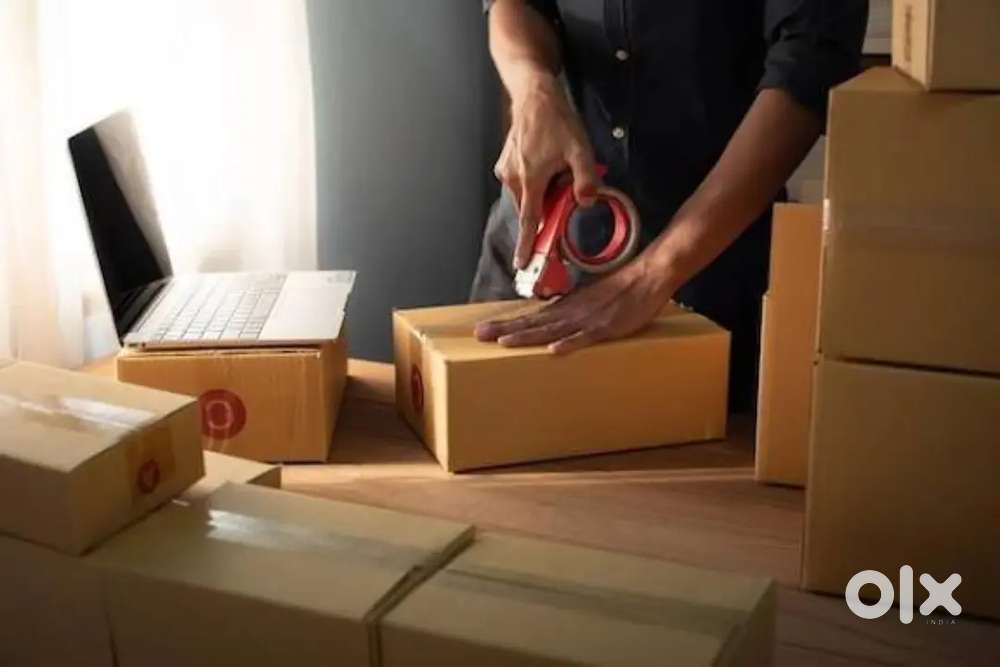 Booy & Girl
पैकिंग पीकिंग वेयरहाउस के लिए डायरेक्ट भर्ती लिमिटेड कंपनी