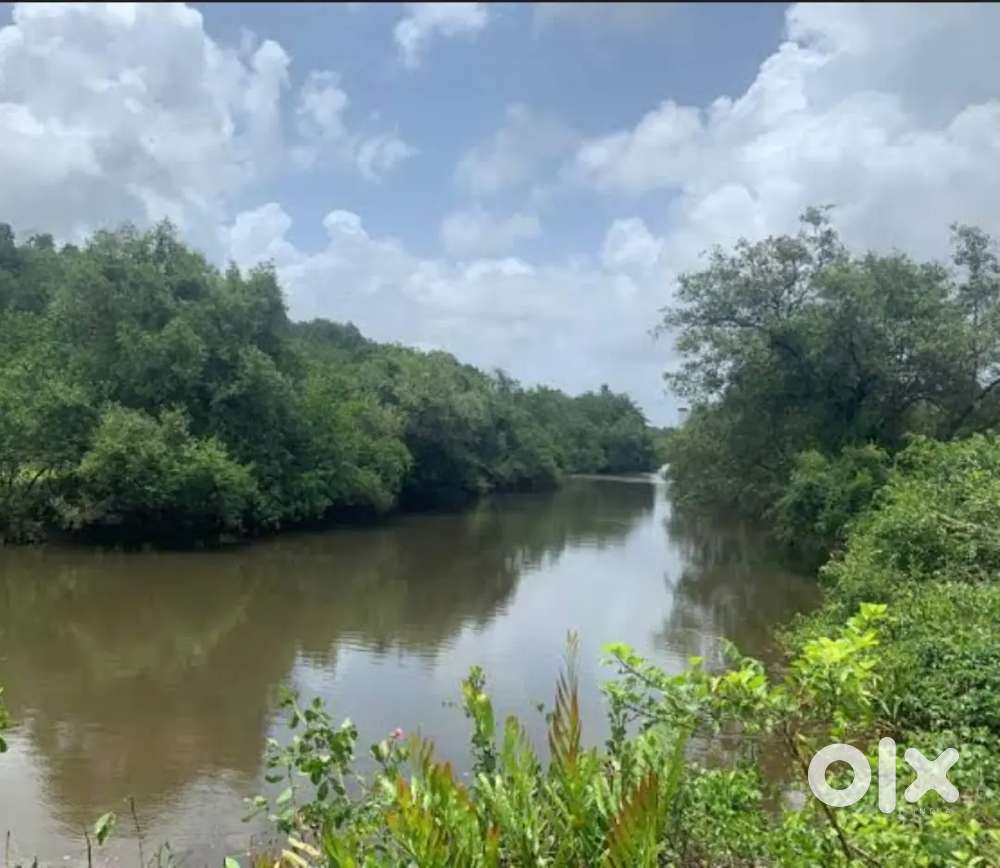 RIVER TOUCH PROPERTY FOR SALE, COTHODEM, AREA3458SQ MTS, @₹2699/SQ MTS