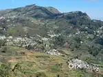 Land sale in Kodaikanal