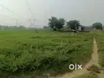 नई बाजार paterawa (carnor) hai