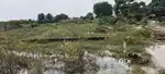 Freehold plots at prime location