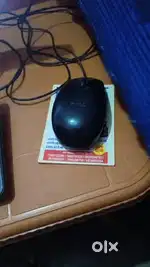 Dell Computer