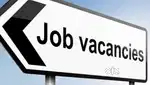 Sales Development Manager Karur