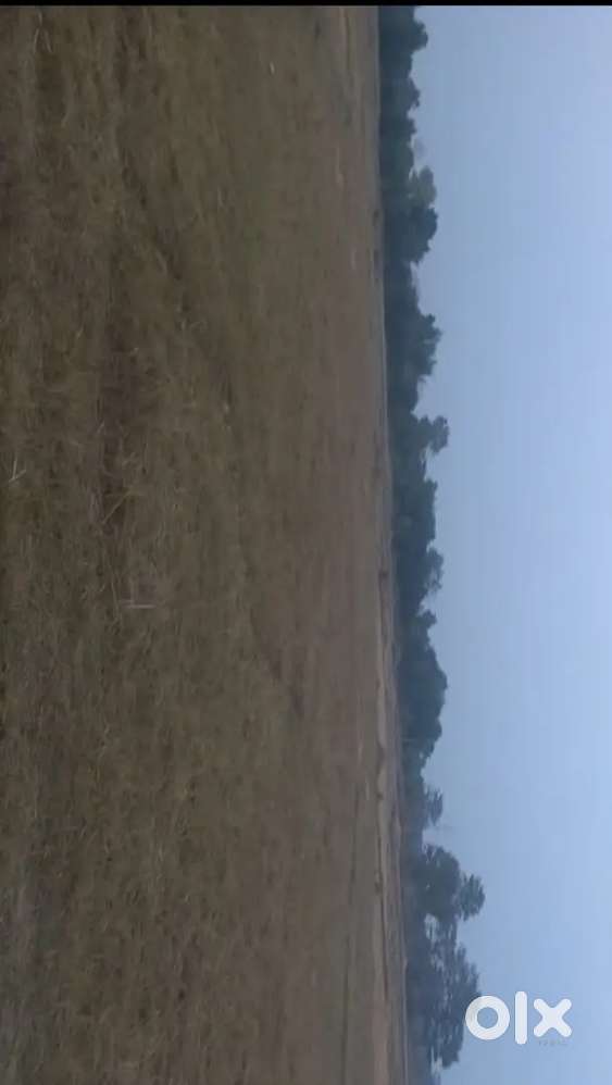 Sale for general plot Minimum 5 acer lena hoga