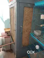 Steel body cooler