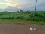 538 Gaj plot for Sale on Green Belt in Sector-25, Rohtak