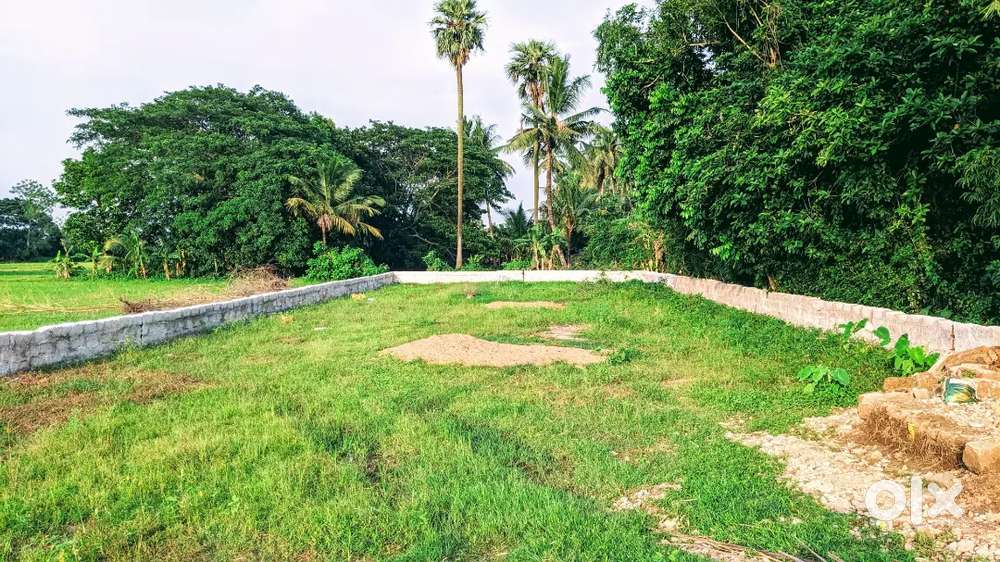 Genuine Commercial Plot For Sale