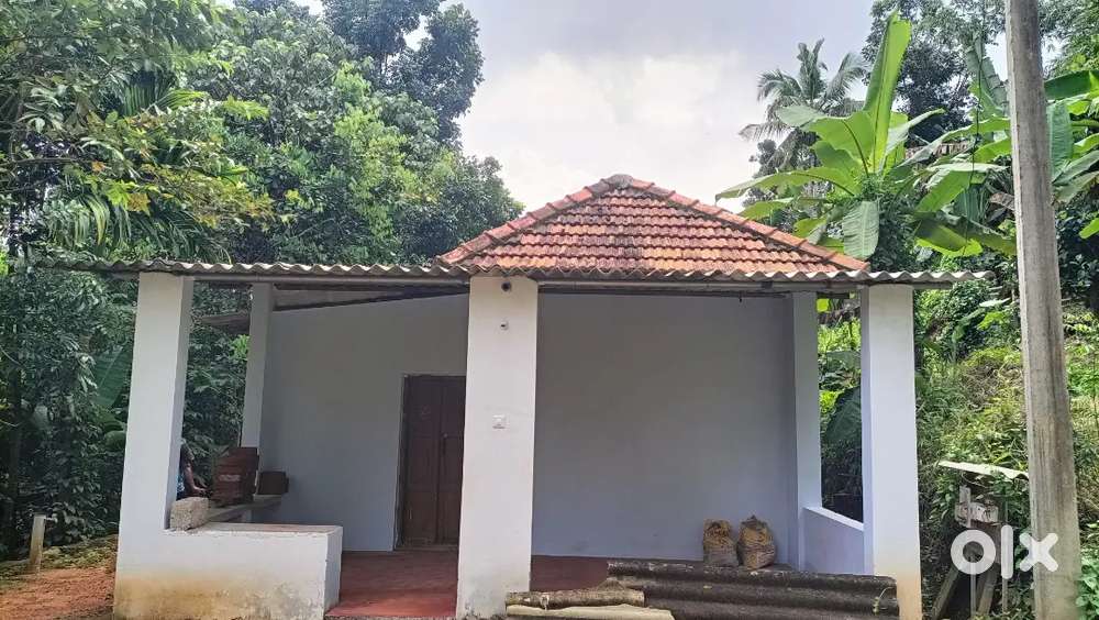 16.5 cent sale  propartty and home