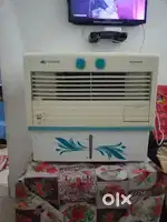 Window cooler