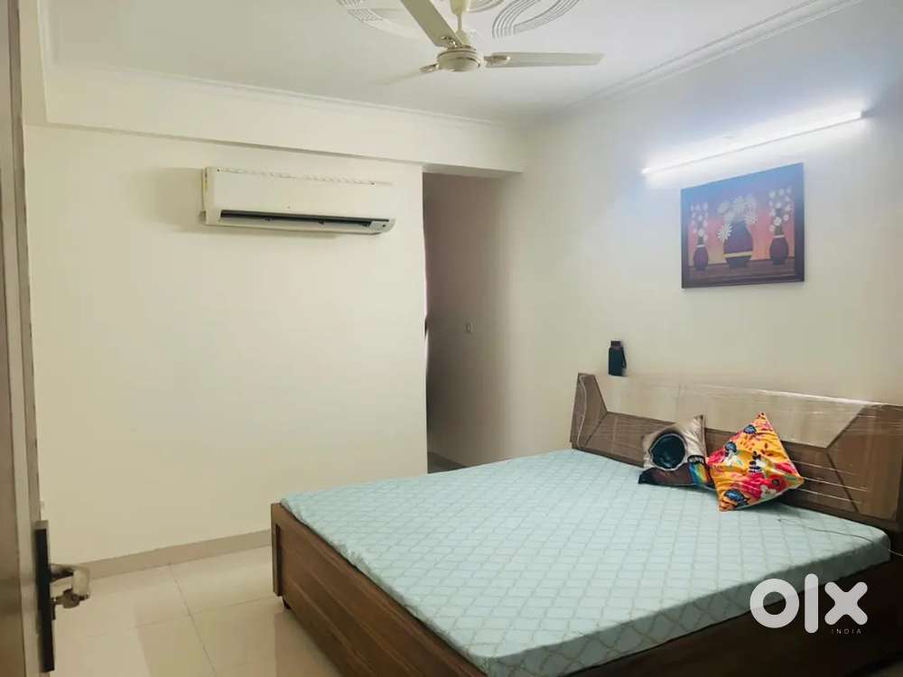 2BHK Fully furnished..Zero Owner Interference..Zero Restrictions