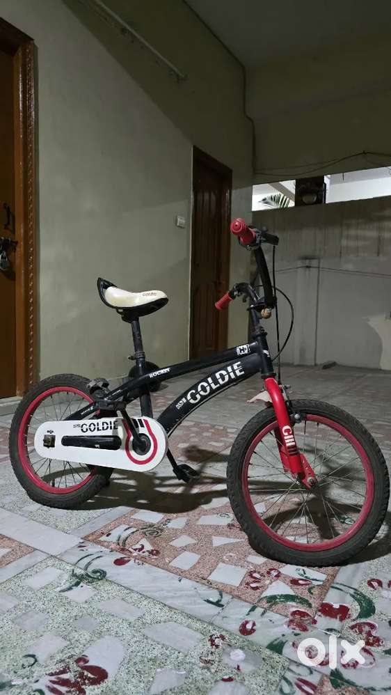 Goldie kids bycycle 16 inch wheels