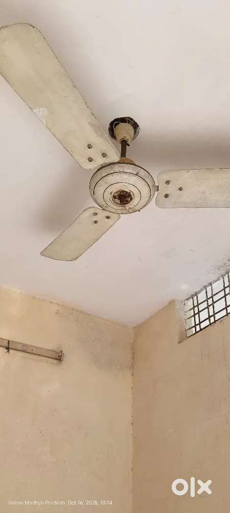 Fan Cealling छत पंखा