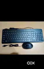 Hp keyboard (No Mouse)