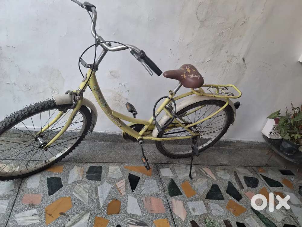 Lady bird ladies cycle