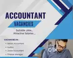 Accountant job